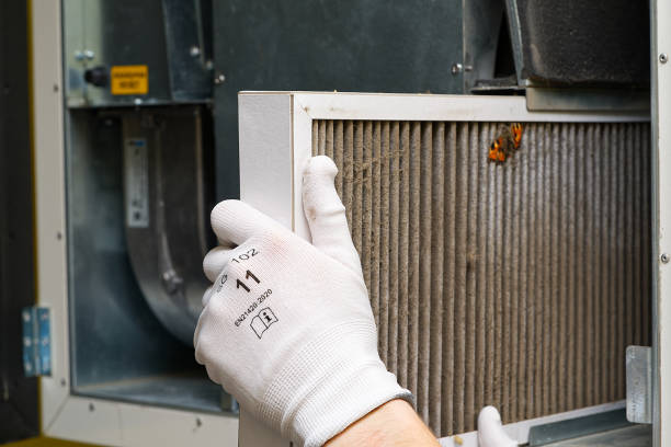 Best Air Quality Test  in Shell Kno, MO