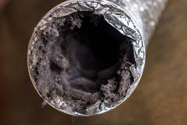Best HVAC System Cleaning  in Shell Kno, MO
