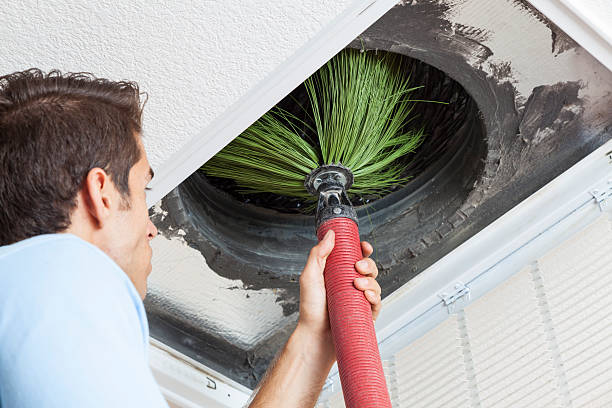 Air Duct Mold Removal in Shell Kno, MO